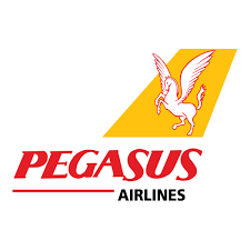 Pegasus iletişim ve müşteri hizmetleri